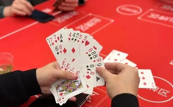 高手入門：摜蛋的基本玩法！